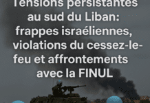 Tensions persistantes au sud du Liban : frappes israéliennes, violations du cessez-le-feu et affrontements avec la FINUL