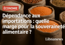 Dépendance aux importations : quelle marge pour la souveraineté alimentaire ?
