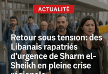 Retour sous tension : des Libanais rapatriés d’urgence de Sharm el-Sheikh en pleine crise régionale