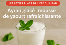 Ayran glacé : mousse de yaourt rafraîchissante