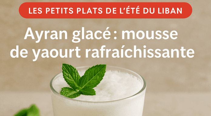 Ayran glacé : mousse de yaourt rafraîchissante