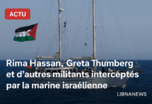 Israël intercepte un bateau humanitaire en route pour Gaza