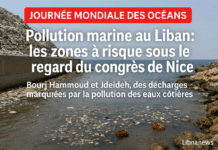 Pollution marine au Liban : les zones à risque sous le regard du congrès de Nice