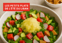 Fattouch givré : la salade givrée qui croque