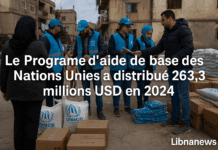 Le Programme d’aide de base des Nations Unies a distribué 263,3 millions USD en 2024 Le Programme d’aide de base des Nations Unies a distribué 263,3 millions USD en 2024