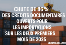 Les crédits documentaires pour les importations chutent de 86 % à seulement 6,7 millions USD Les crédits documentaires pour les importations chutent de 86 % à seulement 6,7 millions USD