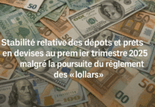 Les dépôts bancaires en devises atteignent 88 milliards USD malgré le règlement soutenu des lollars Les dépôts bancaires en devises atteignent 88 milliards USD malgré le règlement soutenu des lollars