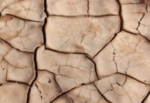 dried soil