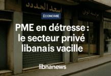 PME en détresse : le secteur privé libanais vacille et les banques sont montrées du doigt