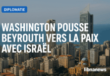 Diplomatie à haut risque : Tom Barak incite le Liban à la paix avec Israël