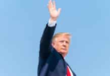 Sacré Donald