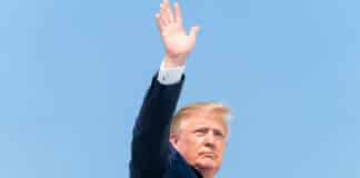 Sacré Donald