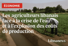 Les agriculteurs libanais face à la crise de l’eau et à l’explosion des coûts de production