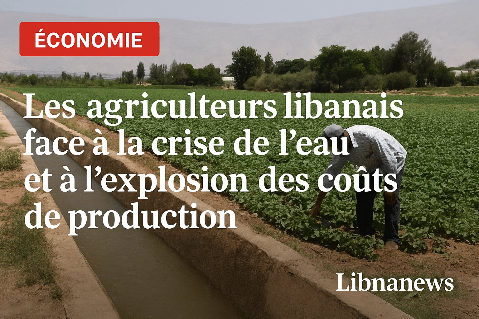 Les agriculteurs libanais face à la crise de l’eau et à l’explosion des coûts de production