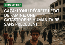 Gaza : l’ONU décrète l’état de famine, une catastrophe humanitaire sans précédent