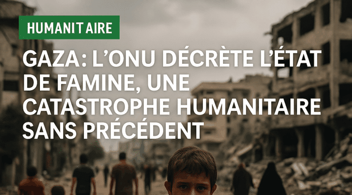 Gaza : l’ONU décrète l’état de famine, une catastrophe humanitaire sans précédent