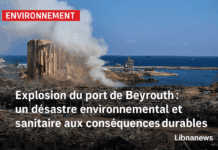 Explosion du port de Beyrouth : un désastre environnemental et sanitaire aux conséquences durables