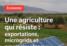 Une agriculture qui résiste : exportations, microgrids et nouveaux réseaux de production