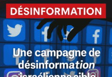 La France et plusieurs pays soutiennent la Palestine à l’ONU : une campagne de désinformation israélienne cible les réseaux sociaux