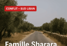 Permis de tuer pour Israël : la famille Sharara décimée à Bint Jbeil