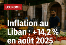 Liban: inflation persistante malgré la stabilisation monétaire Liban: inflation persistante malgré la stabilisation monétaire