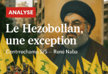 Le Liban en contrechamp 5/5 : Le Hezbollah, une exception