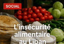 L’insécurité alimentaire au Liban, des indicateurs qui restent élevés malgré un léger mieux