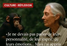 Retourner à l’observation.