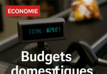 Budgets domestiques sous pression: panier en dollars et conversions en caisse Budgets domestiques sous pression: panier en dollars et conversions en caisse
