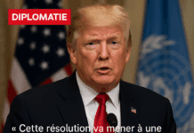 Le Conseil de sécurité adopte la résolution 2803 sur Gaza autorisant une force internationale de stabilisation