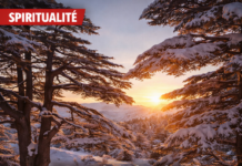 Le Liban des cèdres dans l’Écriture : Symbolisme biblique et présence messianique annoncée par les prophètes