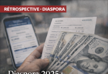 Diaspora 2025 au Liban : la bouée en dollars qui tient le pays… et le modèle qui fabrique des inégalités et de la fatigue