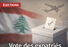 Expatriés et législatives: le vote extérieur, levier politique et bombe logistique