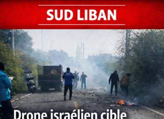 Un drone israélien cible une voiture sur la route Zahrani-Msayleh au sud du Liban