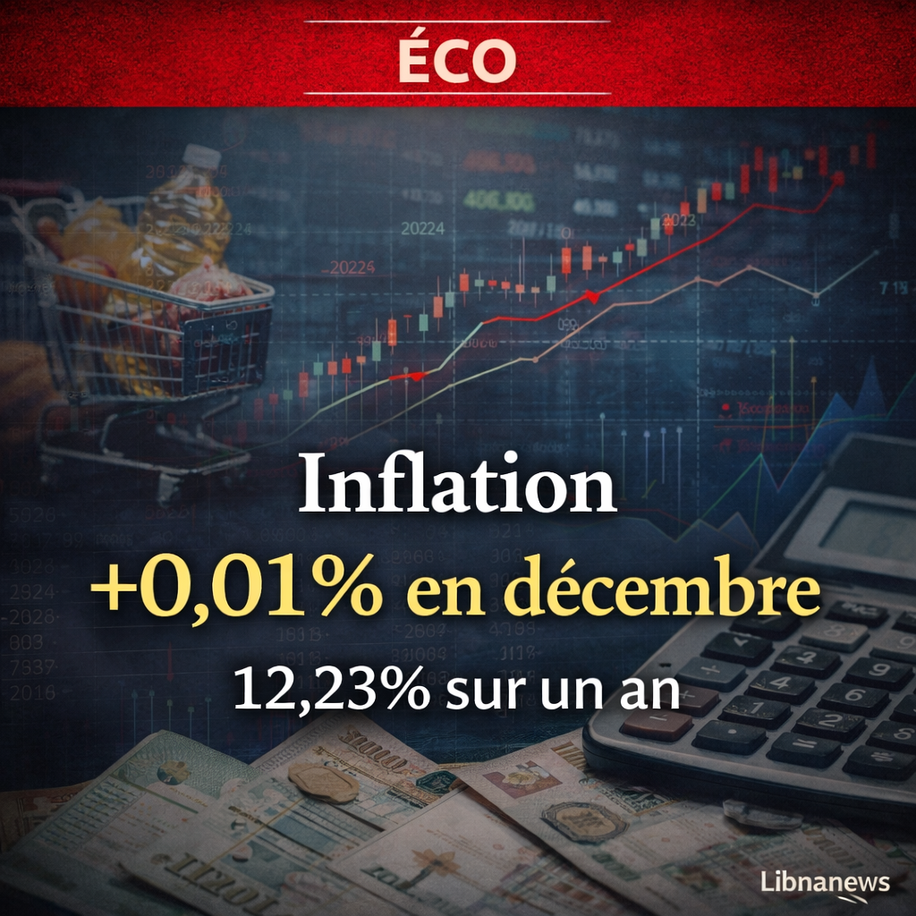 L’indice des prix à la consommation au Liban en décembre 2025 : une hausse mensuelle de 0,01 % et un taux d’inflation annuel à 12,23 % L’indice des prix à la consommation au Liban en décembre 2025 : une hausse mensuelle de 0,01 % et un taux d’inflation annuel à 12,23 %