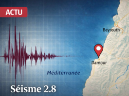 Un séisme de magnitude 2.8 enregistré en mer au large de Damour ce jeudi matin