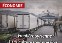 Le canal syrien par l’économie: le dossier agricole devient un acte diplomatique