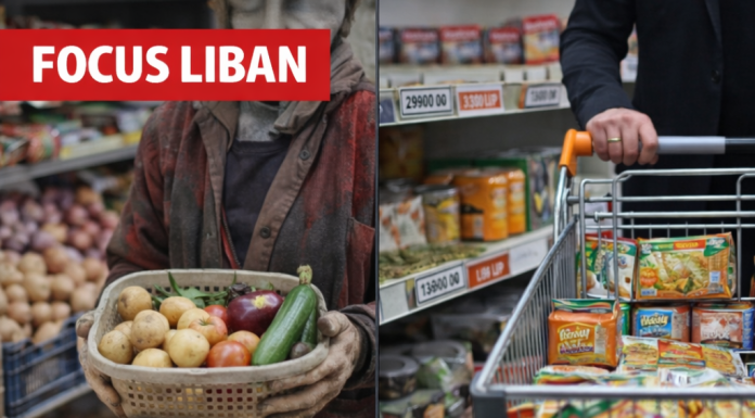 La hausse de la TVA à 12% au Liban en février 2026 : un fardeau reporté à 82% sur la population et plus cruellement sur les plus vulnérables
