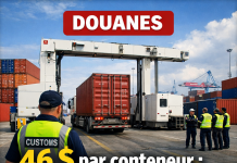 Le dossier des ports : un nouveau tarif de scan à 46 dollars par conteneur entre en vigueur à Beyrouth et Tripoli