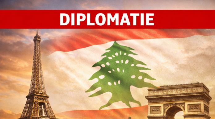 Le président Aoun discute des préparatifs pour la conférence de Paris avec la députée Lakrafi