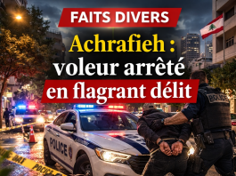 ChatGPT Image 18 févr. 2026 à 17_30_19