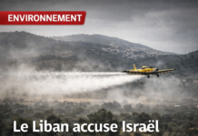 Le Liban accuse Israël de pulvériser des substances toxiques sur Aita al-Shaab