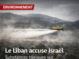 Le Liban accuse Israël de pulvériser des substances toxiques sur Aita al-Shaab