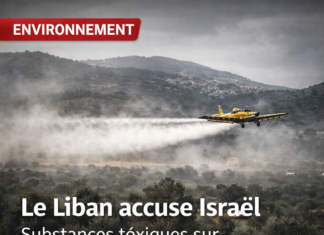 Le Liban accuse Israël de pulvériser des substances toxiques sur Aita al-Shaab