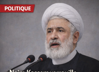 Naim Kassem et le “droit à la défense”: un discours qui vise d’abord l’intérieur