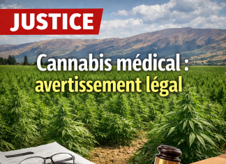 Liban : le président de l’autorité de régulation du cannabis émet un avertissement légal contre la diffusion d’informations trompeuses