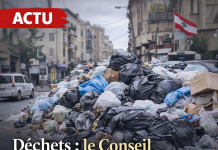 Le Conseil constitutionnel libanais rejette le recours contre la modification de la loi sur la gestion des déchets solides