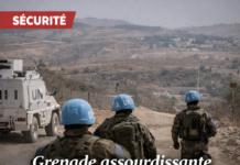Un drone israélien largue une grenade assourdissante près des casques bleus de la FINUL à Kfarkela