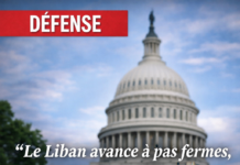 Le général Haykal présente au cabinet le plan de restriction des armes au nord du Litani, dans un contexte de tensions persistantes
