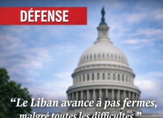Le général Haykal présente au cabinet le plan de restriction des armes au nord du Litani, dans un contexte de tensions persistantes